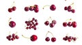 Fresh red merry berries, sweet cherry set Royalty Free Stock Photo