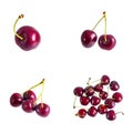 Fresh red merry berries, sweet cherry set Royalty Free Stock Photo