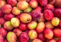 Fresh red mirabelle as background Royalty Free Stock Photo