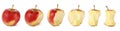 Fresh red natural aple is eaten - set of differents stages of eating an apple Royalty Free Stock Photo