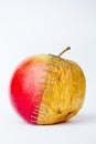Fresh red and old yellow apple halves with staples on white background, Royalty Free Stock Photo