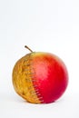 Fresh red and old yellow apple halves with staples on white background, Royalty Free Stock Photo