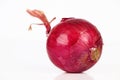 Close up of red onion.