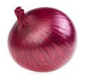 Fresh red onion isolated on white background. Organic onion bulb Royalty Free Stock Photo