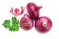 Fresh red onion sliced bulb and onion peel isolated on white background Royalty Free Stock Photo