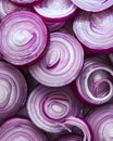 Fresh red onion slices Royalty Free Stock Photo
