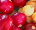 Fresh Red Onions and a Few Yellow Ones at a Farmer`s Market Royalty Free Stock Photo