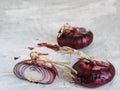 Fresh red onions. Three onion on a gray background. One onion is cut in half. Onion cut. Close-up Royalty Free Stock Photo