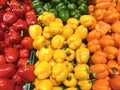 Fresh red, orange, yellow and green bell peppers Royalty Free Stock Photo