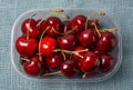 Fresh red organic Cherry, cherries Royalty Free Stock Photo