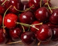 Fresh red organic Cherry, cherries Royalty Free Stock Photo