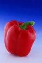 Fresh red pepper