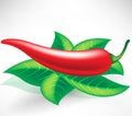 Fresh red pepper Royalty Free Stock Photo