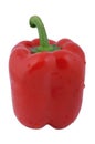 Fresh red pepper Royalty Free Stock Photo