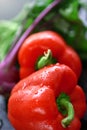 Fresh red pepper Royalty Free Stock Photo