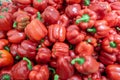 Fresh red pepper harvest close up on the market