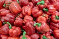 Fresh red pepper harvest close up on the market.