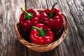 Fresh red peppers Royalty Free Stock Photo