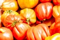 Fresh Red Plum Tomatoes Displayed for Sale, Treviso, Italy Royalty Free Stock Photo