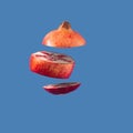 Fresh red pomegranate split into pieces in midair against a blue backdrop