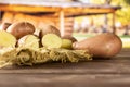 Fresh red potato francelina with cart Royalty Free Stock Photo