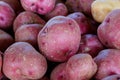 Fresh Red Potatoes Royalty Free Stock Photo