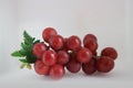 Fresh red or purple seedless grapes Royalty Free Stock Photo