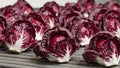 Fresh red radicchio heads on metallic conveyor belt Royalty Free Stock Photo