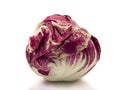 Fresh red radicchio on white background. Royalty Free Stock Photo