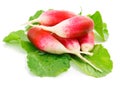 Fresh red radish isolated on white Royalty Free Stock Photo