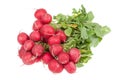 Fresh red radish isolated on white Royalty Free Stock Photo