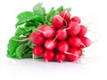 Fresh red radish isolated on white background Royalty Free Stock Photo