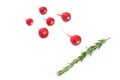 Fresh red radish on a white background