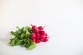 Fresh red radish on white background