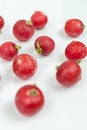 Fresh red radishes on the white background