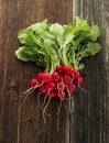 Bouquet of Rad Radish Royalty Free Stock Photo