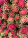 fresh red rambutan fruit in the market Royalty Free Stock Photo