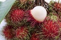 Fresh red rambutan fruit, Tropical fruit Royalty Free Stock Photo