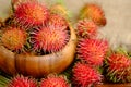 Fresh red rambutan fruit Royalty Free Stock Photo