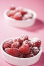 Fresh Red Raspberries Royalty Free Stock Photo