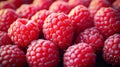 Fresh red raspberries background Royalty Free Stock Photo