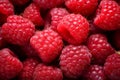 Fresh red raspberries. background perfect for healthy diet concept and nutritious eating plan Royalty Free Stock Photo