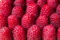 Fresh raspberries background Royalty Free Stock Photo
