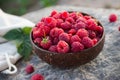 Fresh red raspberries in a coconut bowl in the garden Royalty Free Stock Photo