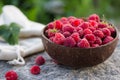 Fresh red raspberries in a coconut bowl in the garden Royalty Free Stock Photo