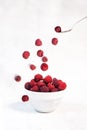 Fresh red raspberries falling isolated on white background Royalty Free Stock Photo