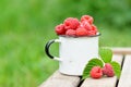 Fresh red raspberries in mug on wooden background