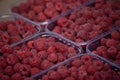 Fresh, red raspberries in plastic fruit container. Fresh raspberry in plastic box at market, organic healthy background Royalty Free Stock Photo