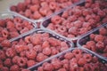 Fresh, red raspberries in plastic fruit container. Fresh raspberry in plastic box at market, organic healthy background Royalty Free Stock Photo