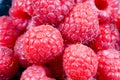 Fresh red raspberries, still life, closeup and detail view Royalty Free Stock Photo